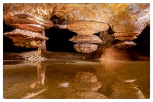 Réplique de la grotte Cosquer - Visite culturelle